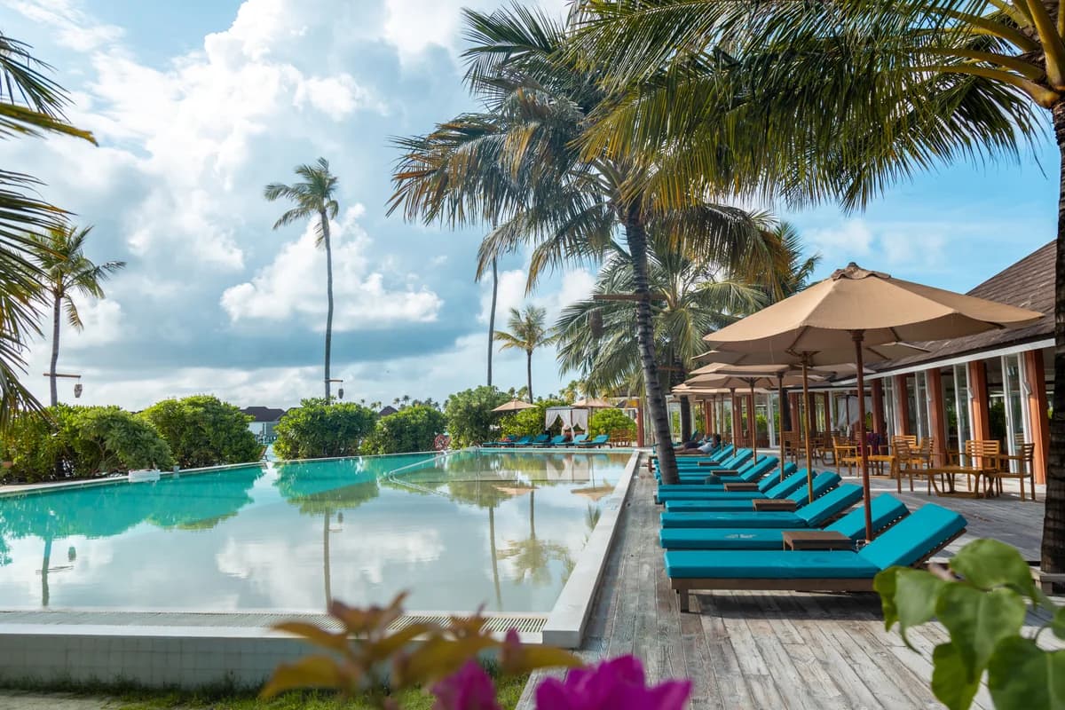 Luxury tropical wellness resort pool with palm trees